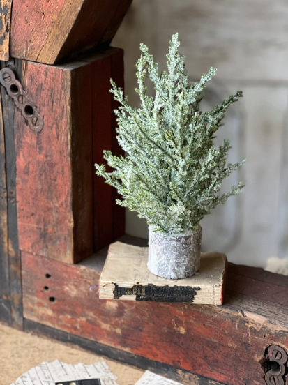 Polar Peak Pine Tree | 8.5"