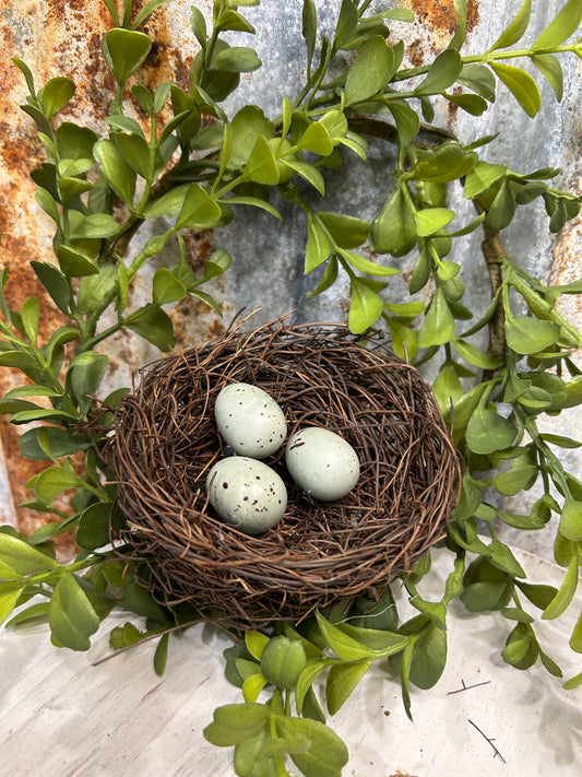 Spring Bird Nest with Robin Eggs