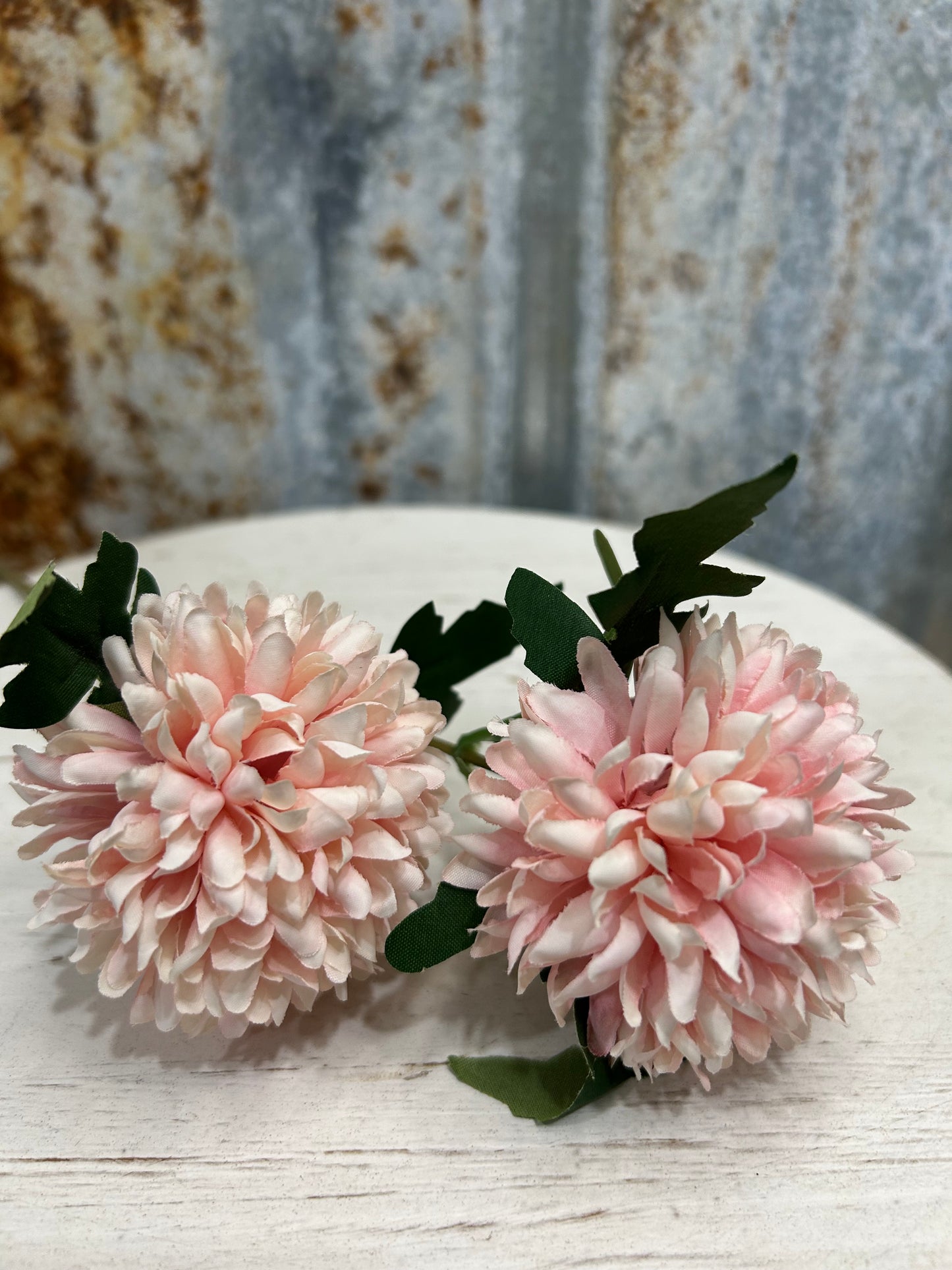 Chrysanthemum Ball Flower Pink