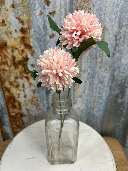 Chrysanthemum Ball Flower Pink