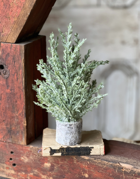 Polar Peak Pine Tree | 8.5"