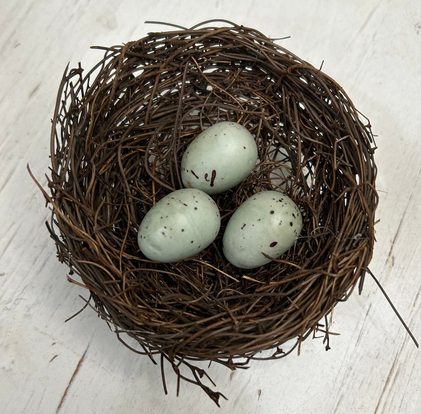 Spring Bird Nest with Robin Eggs
