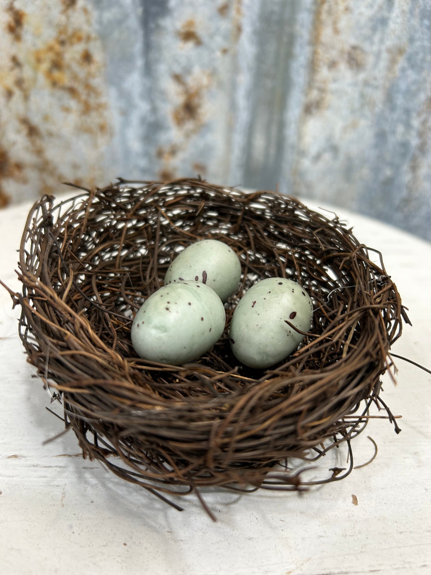 Spring Bird Nest with Robin Eggs